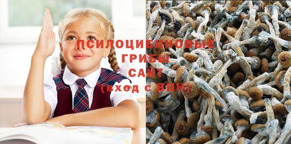 a pvp Балабаново