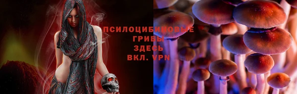 ГАЛЛЮЦИНОГЕННЫЕ ГРИБЫ Аркадак