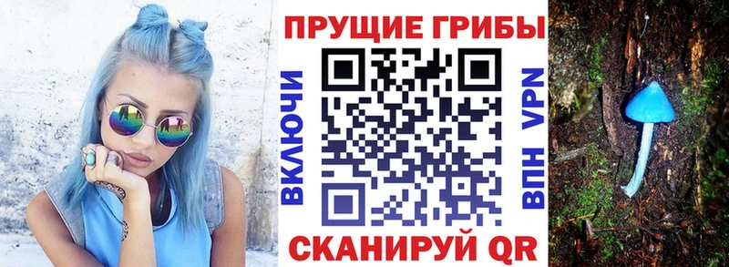 Псилоцибиновые грибы мухоморы Соль-Илецк