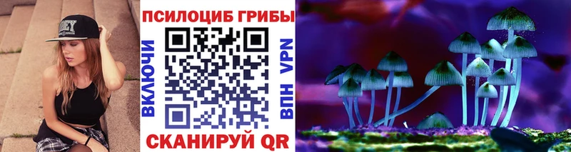 Псилоцибиновые грибы GOLDEN TEACHER  сколько стоит  hydra зеркало  Соль-Илецк 